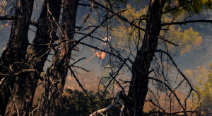 Turcja walczy z pożarami lasów w prowincji Antalya