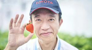 Toyota uprawia truskawki i pomidory w swoich fabrykach