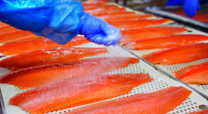 Producent łososia chce pozwać władze norweskie za wprowadzenie nowego podatku