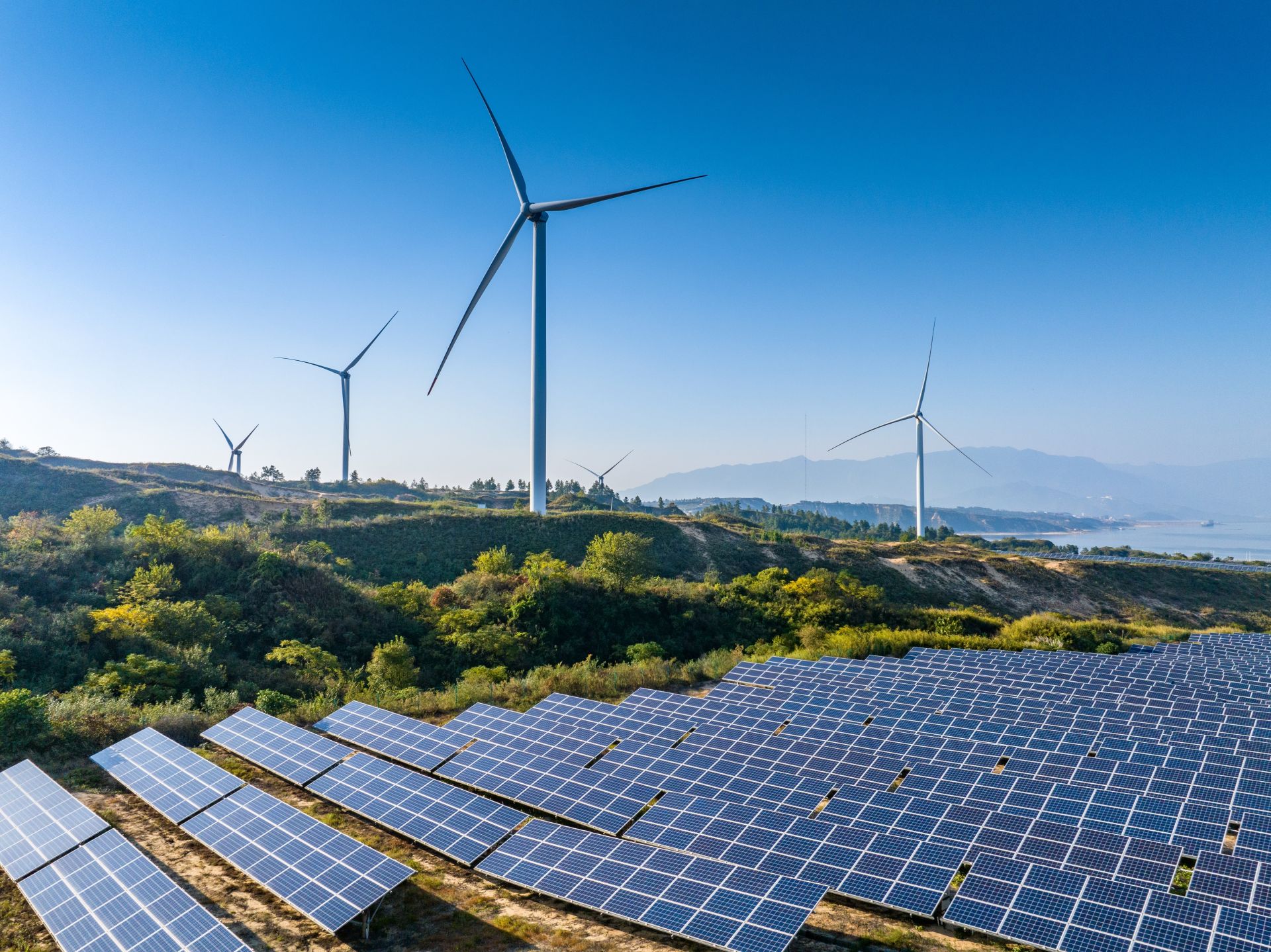We want all participants in the energy market to comply with the rules that operate on this market, and these rules are simple. You sold energy - you produce as much as you sold. You did not sell energy - you do not produce energy for the grid - comments Grzegorz Onichimowski (Photo. hrui / Shutterstock)