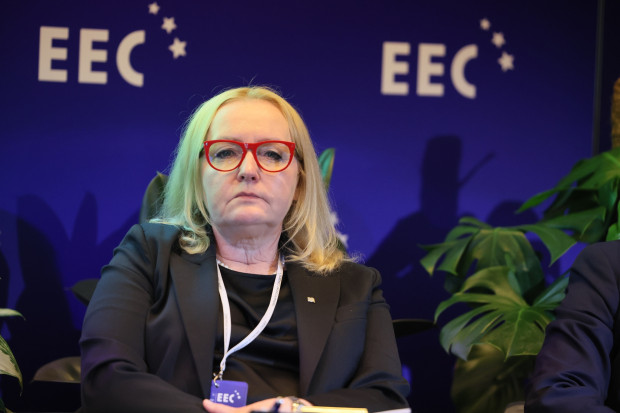 Marita Szustak, prezes zarządu, Izba Gospodarcza Transportu Lądowego, prezes zarządu, Track Tec Construction 