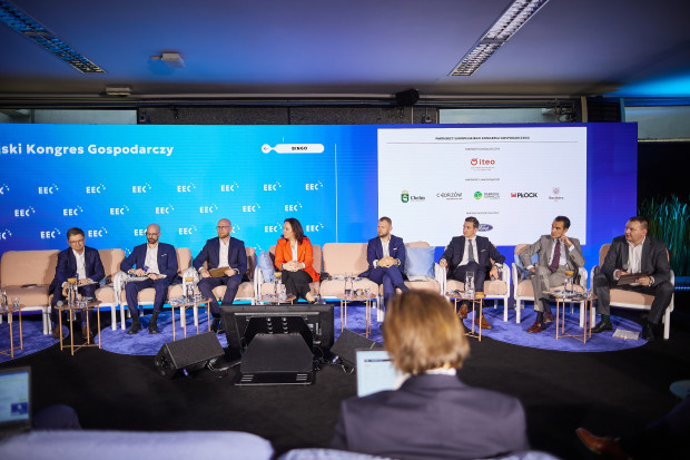 XVII Europejski Kongres Gospodarczy. Fuzje i przejęcia