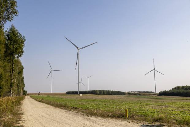 Przygotowania do budowy farmy wiatrowej w Polsce mogą trwać nawet 8 lat. To za długo