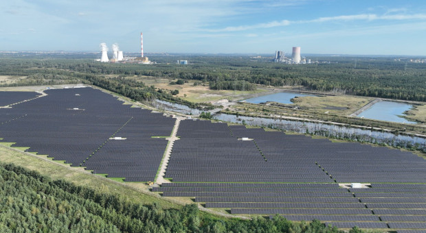 Upały dają się we znaki energetyce i odbiorcom energii. "Duża zmienność cen"