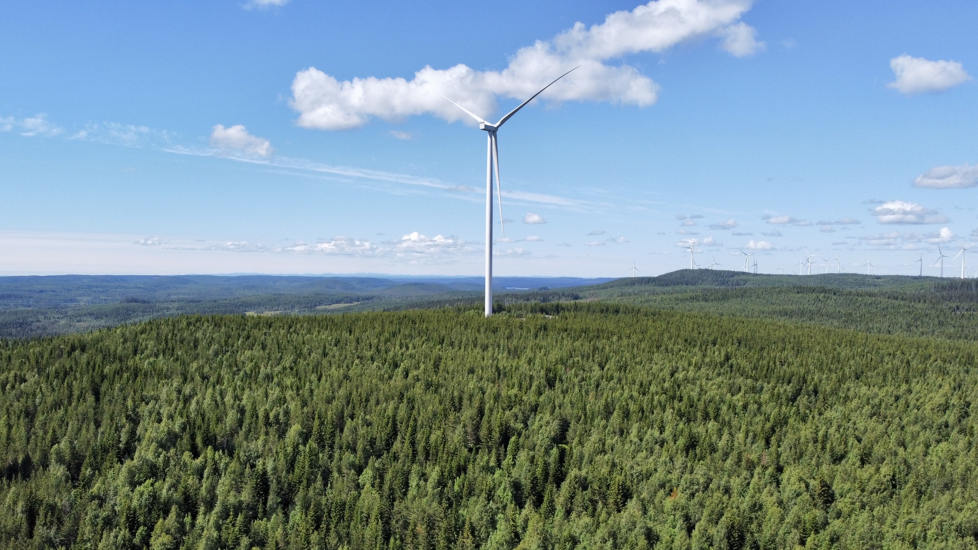 Piotr Czopek afirma que as análises da PWEA mostram que os níveis de obrigação de energia renovável propostos pelo Ministério da Cultura e Meio Ambiente para 2026-2028 não reduzirão significativamente o excesso de oferta existente no mercado. Foto: Materiais de imprensa da OX2 / foto ilustrativa.