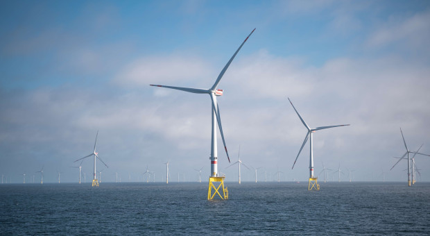 Kolejne starcie polityki z wiatrakami. Tym razem górą te drugie