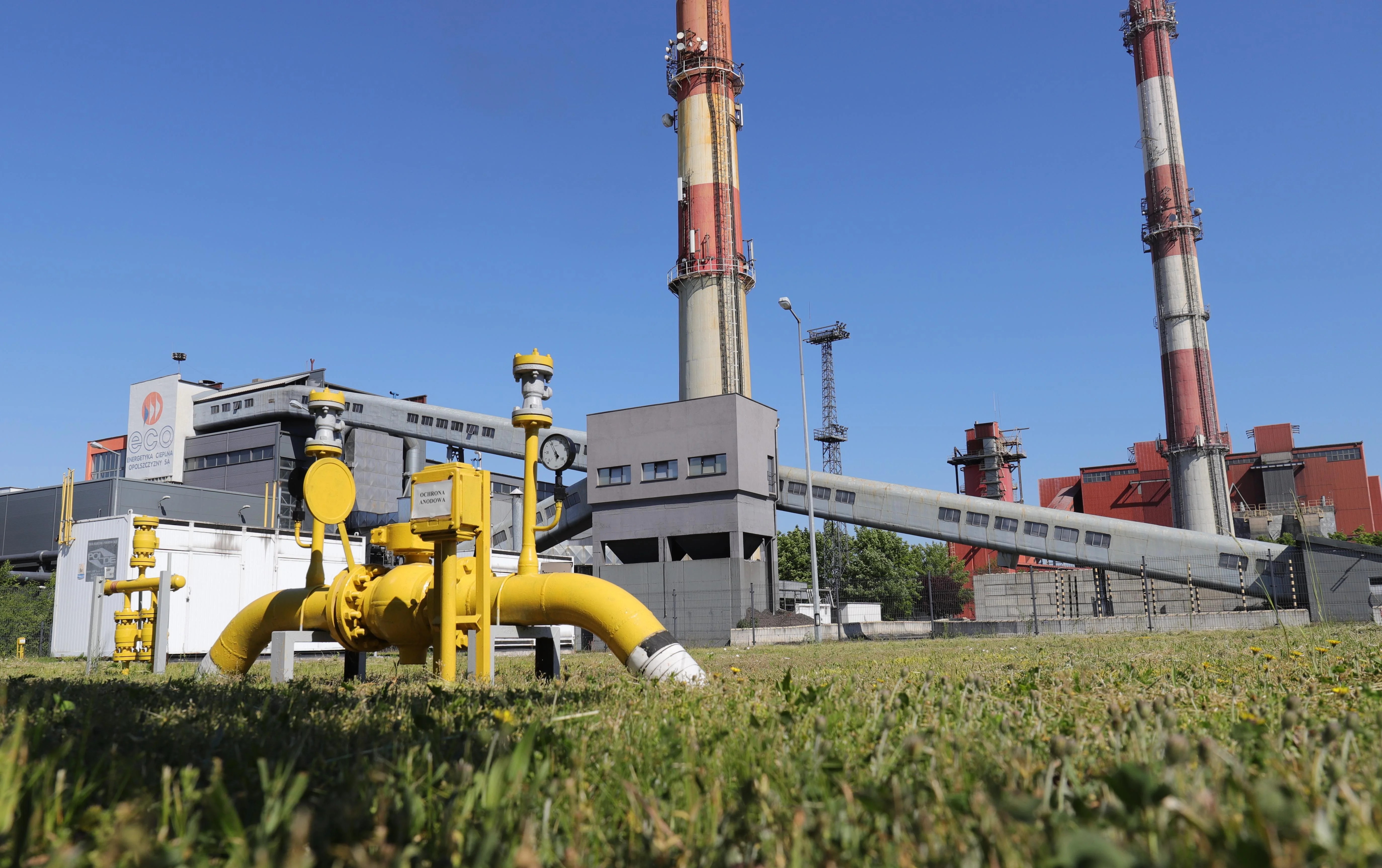 - Over the last 5 years, we have built, among others, 7 high-efficiency gas cogeneration systems – says Mirosław Romanowicz, member of the ECO management board for operations (Photo: ECO press materials)