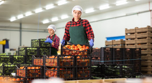 Krok w stronę równych praw czy wyższych kosztów? Pracownicy tymczasowi będą jak etatowcy