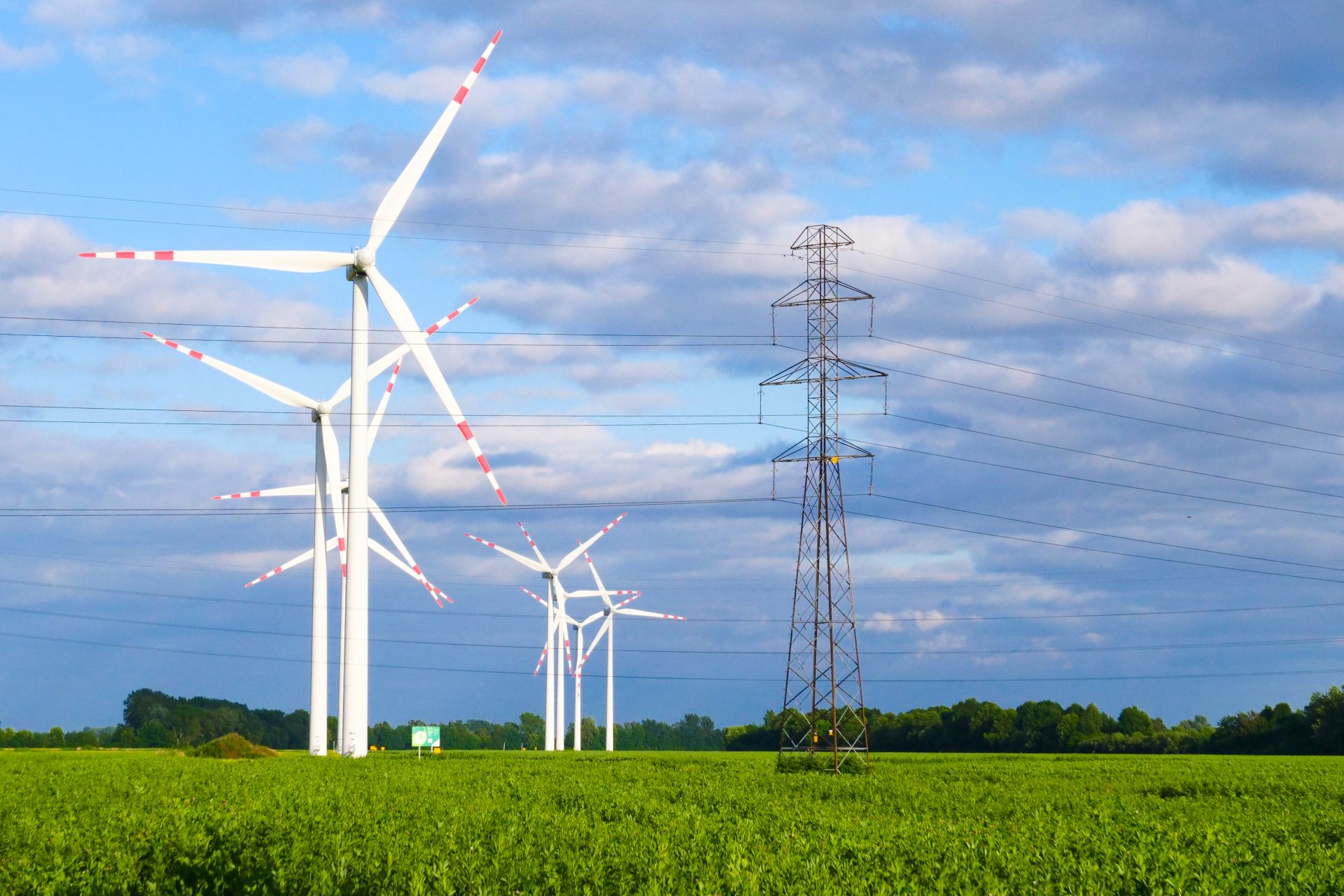 Małgorzata Szambelańczyk enfatiza que o acesso às redes de energia continua sendo um desafio fundamental no desenvolvimento da energia eólica terrestre.