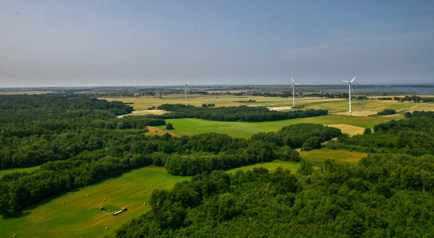 Niemcy ciągną wiatrakowy peleton Europy. Polska w pierwszej dziesiątce