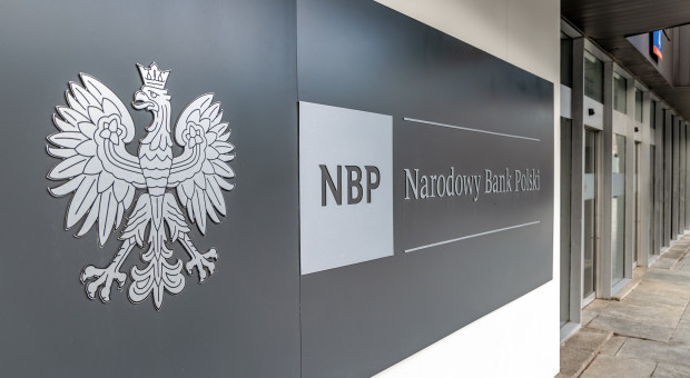 Co dalej z inflacją i PKB? NBP opublikował ważny dokument