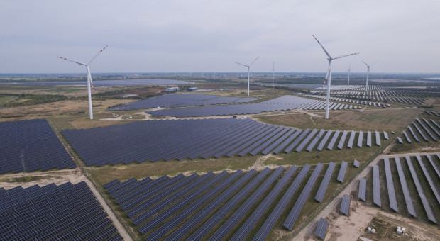 Ostra krytyka ustawy sieciowej. "Bicz wymierzony we wszystkich"