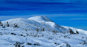 Do Europy i Polski nadciągną ciężkie zimy? "Potencjalne zagrożenie egzystencjalne"
