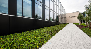 Polski gigant IT poprawia wyniki. Zyskowność rośnie mocniej niż przychody