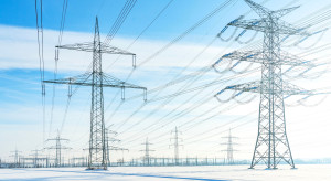 URE chce chronić Polaków przed nadmiernie wysokimi cenami prądu. Proponuje rewolucję