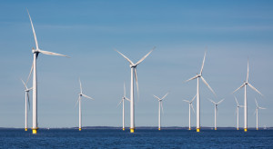 Dymisja w zarządzie Polenergii