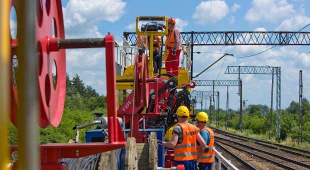 Oto "królowie polowania". Te spółki zgarnęły najwięcej na rynku budowlanym w 2025 roku