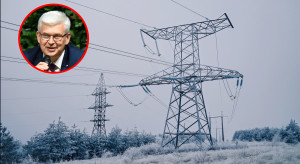 "Potrzebny jest skalpel, a nie siekiera". To w polskiej energetyce musi się zmienić