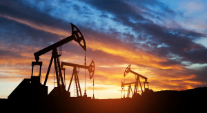 Wrota do gigantycznego złoża rudy żelaza zostały otwarte