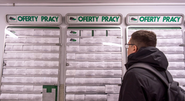 Pilnie zatrudnię. Tutaj szukają ludzi do pracy [LISTA]