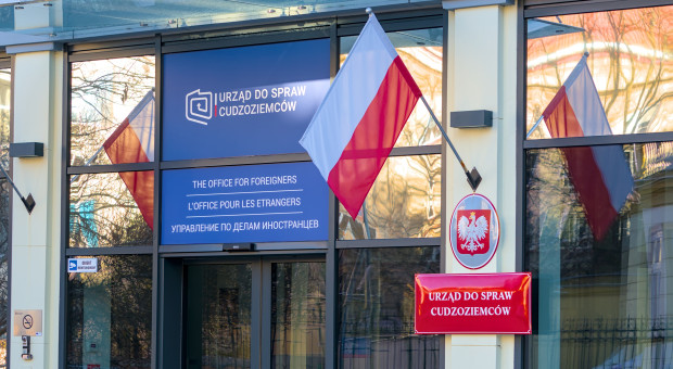 Tutaj brakuje rąk do pracy. Obcokrajowcy rozwiążą problem? [LISTA]