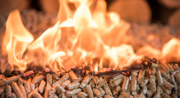 Ceny pelletu wystrzeliły. Rząd może podjąć specjalne kroki