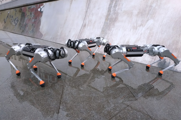 Stworzyli unikatowego robota. Sprzedają tylko za granicę. W Polsce usłyszeli, że są nieinnowacyjni