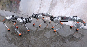 Świat zachwycił się polskim robotem. Jego twórcy w kraju usłyszeli, że są nieinnowacyjni