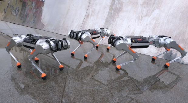 Świat zachwycił się polskim robotem. Jego twórcy w kraju usłyszeli, że są nieinnowacyjni