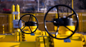 "Rosyjski gaz jest niezastąpiony". Europejski kraj przedłuża umowę na dostawy surowca