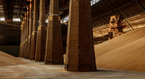 Grupa Azoty ma podjąć dwie kluczowe decyzje. W tle toczy się wojna