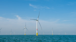 Polska ma szansę stać się podwójnym liderem. Potrzeba jednego