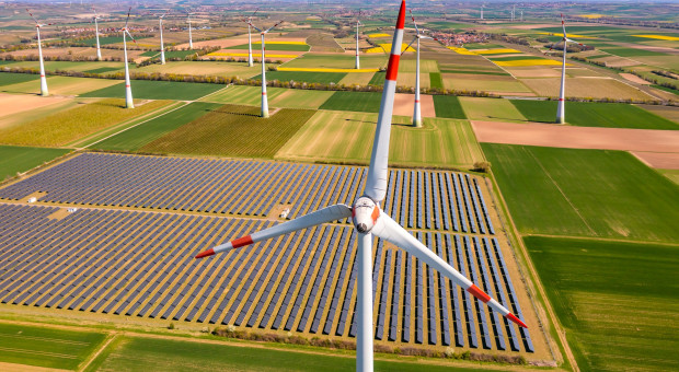 Świąteczna klęska urodzaju w Polsce. Najniższe ceny prądu w historii, a to... zła wiadomość