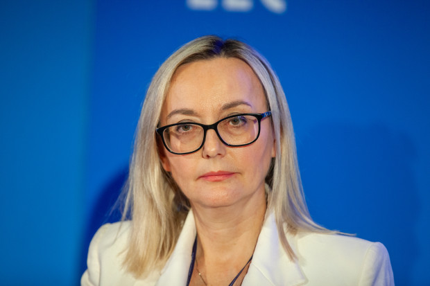 Anna Karyś-Sosińska, członek zarządu, dyrektor Pionu Zarządzania Zasobami Ludzkimi, Budimex SA 