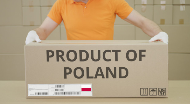 Jak skutecznie wejść na rynki zagraniczne? Praktyczne rekomendacje dla biznesu
