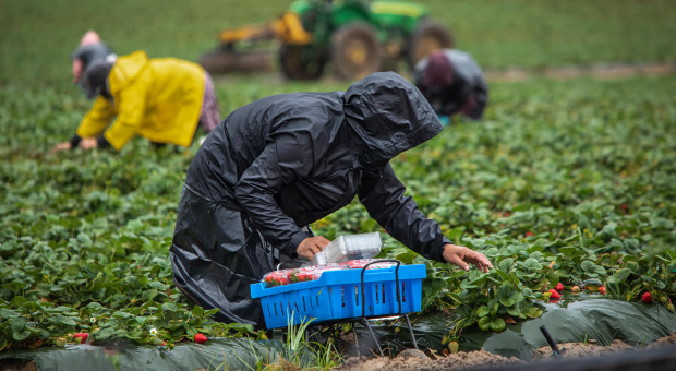 Polacy pilnie poszukiwani do pracy. Stawka sięga 16 tys. zł