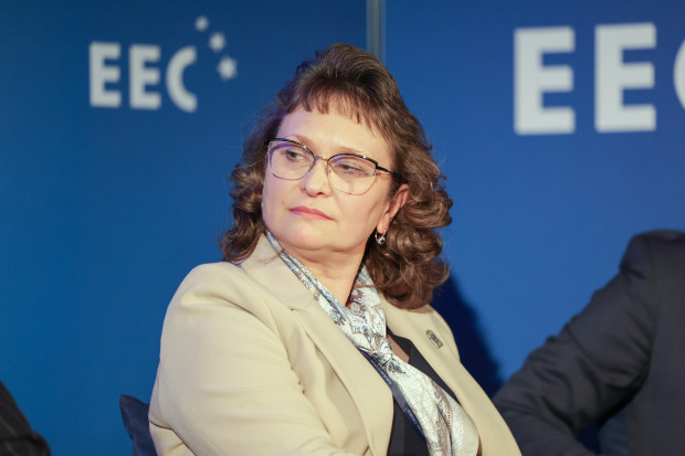 Hanna Strzelecka, pierwsza wiceprezes, Główny Urząd Statystyczny