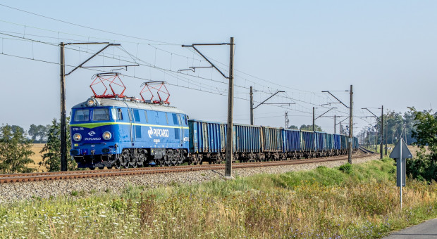 Mocne tąpnięcie na akcjach PKP Cargo. Tak spółka walczy o przetrwanie