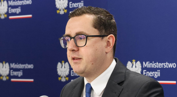 Wybór wykonawcy drugiej elektrowni atomowej coraz bliżej. W grze są cztery lokalizacje