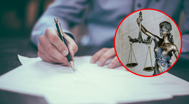 2 sierpnia się zacznie. Koniec deklaracji, nadchodzi czas kontroli i kar