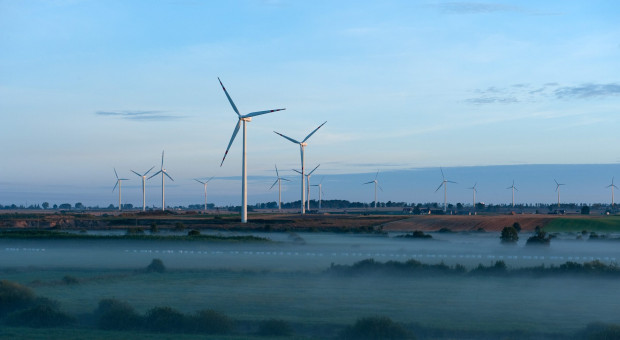 Nie powiodło się wezwanie na akcje Polenergii. Ostre spadki na kursie spółki Dominiki Kulczyk