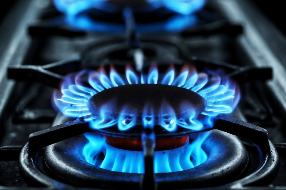Photo: wnp.pl European Energy Crisis: Rising Gas Prices Drive Return to Coal Power