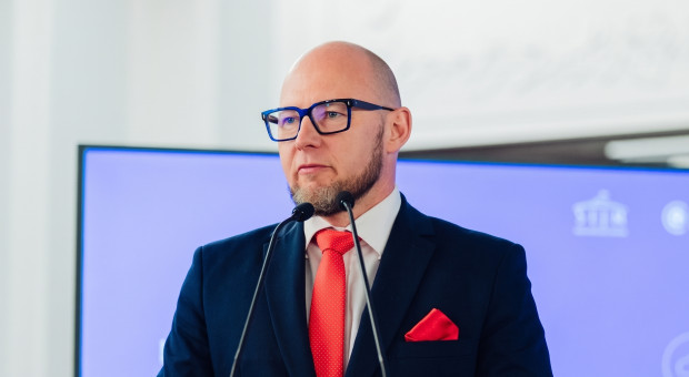Polskim samochodem elektrycznym zajmie się nowy minister. "To ambitny cel, ale całkowicie realny"