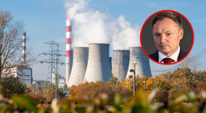 Energetyka ruszy na zakupy węgla. "Ceny mogą rosnąć"