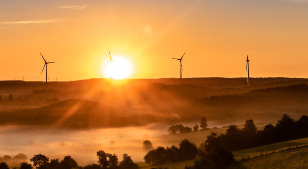Energia dla firm jest tańsza, niż się wydaje. Biznes wpadł w "lukę edukacyjną"