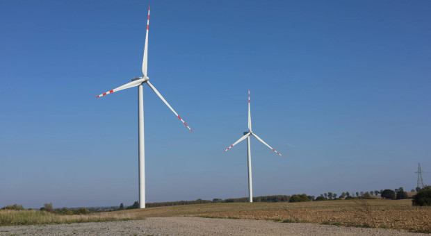 Tauron kupił projekt elektrowni wiatrowej. Tu w Polsce powstanie nowa farma